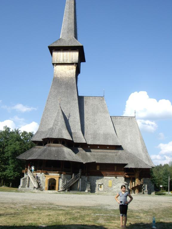 Pensiunea Montana Sapinta Exterior photo